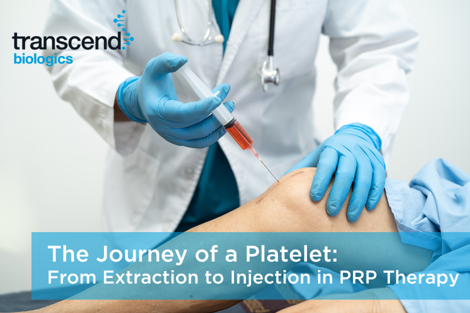 The Journey of a Platelet: From Extraction to Injection in PRP