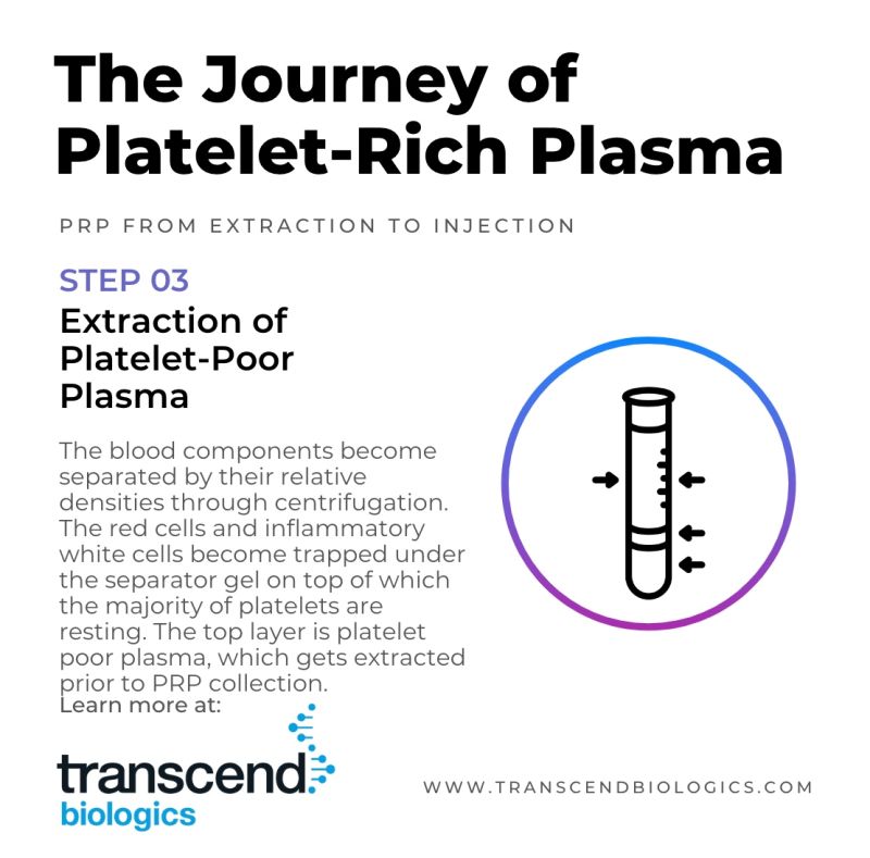 The Journey of Platelet-Rich-Plasma Step 3